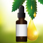 Navigating The Landscape: Government Regulations on CBD Oil in Canada